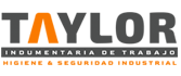 Taylor seguridad